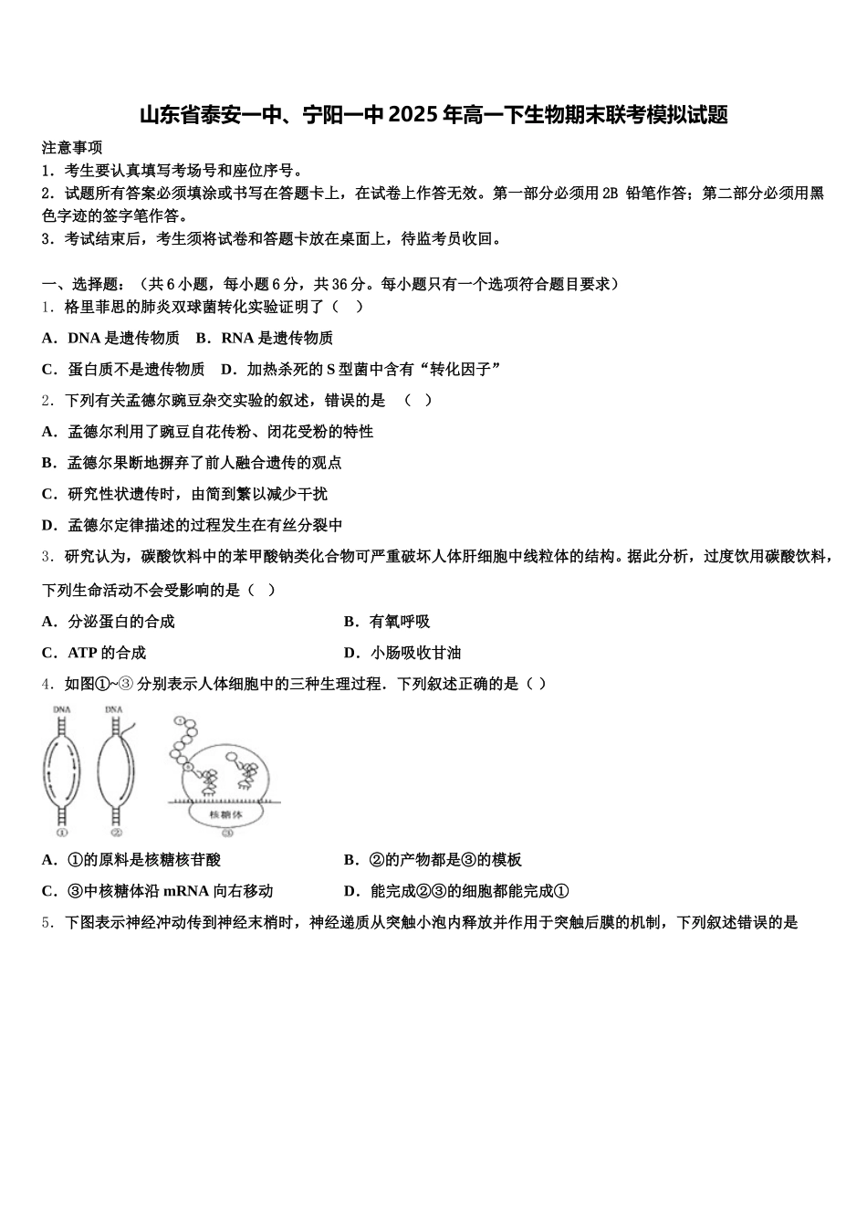 山东省泰安一中、宁阳一中2025年高一下生物期末联考模拟试题含解析_第1页