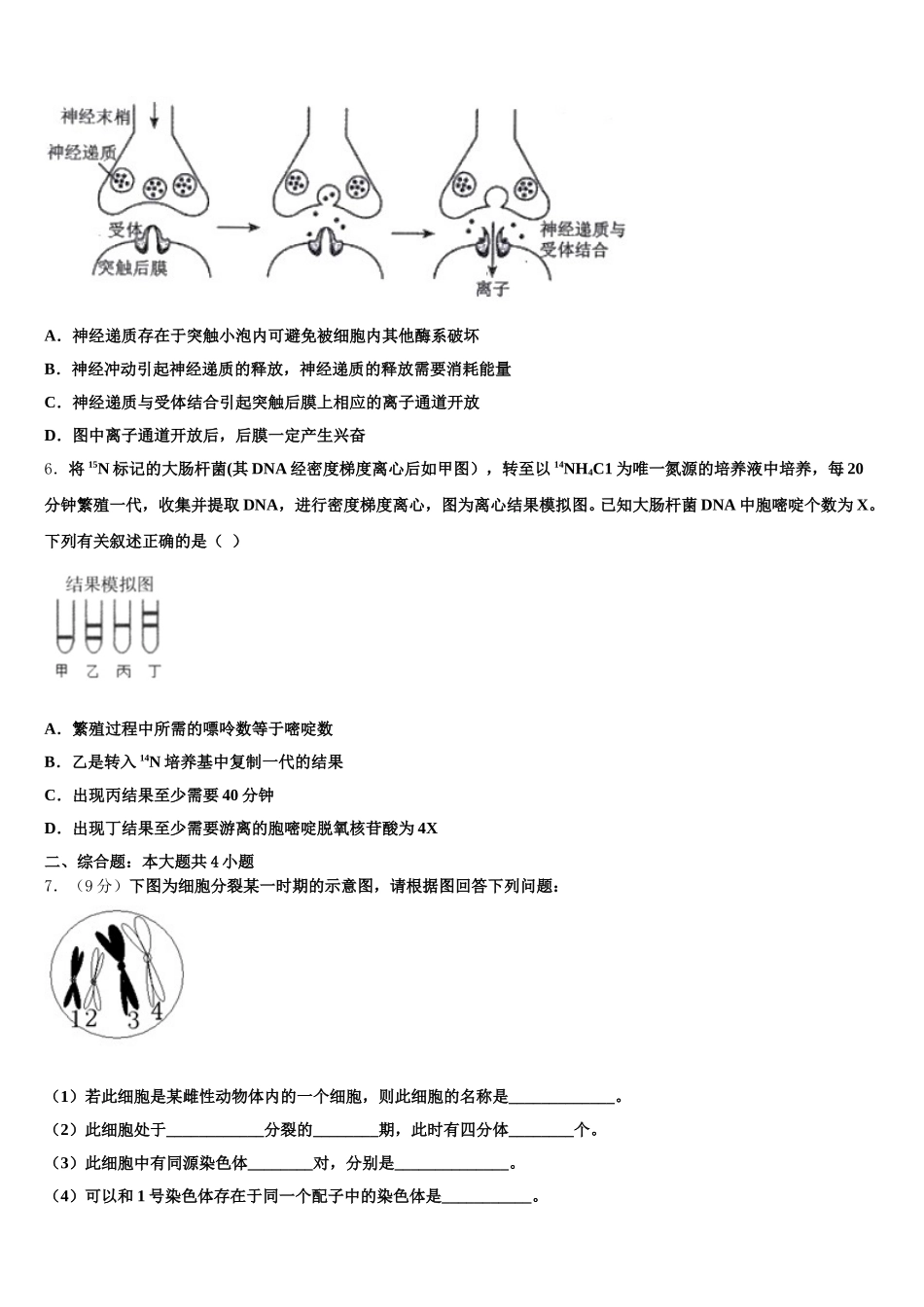 山东省泰安一中、宁阳一中2025年高一下生物期末联考模拟试题含解析_第2页