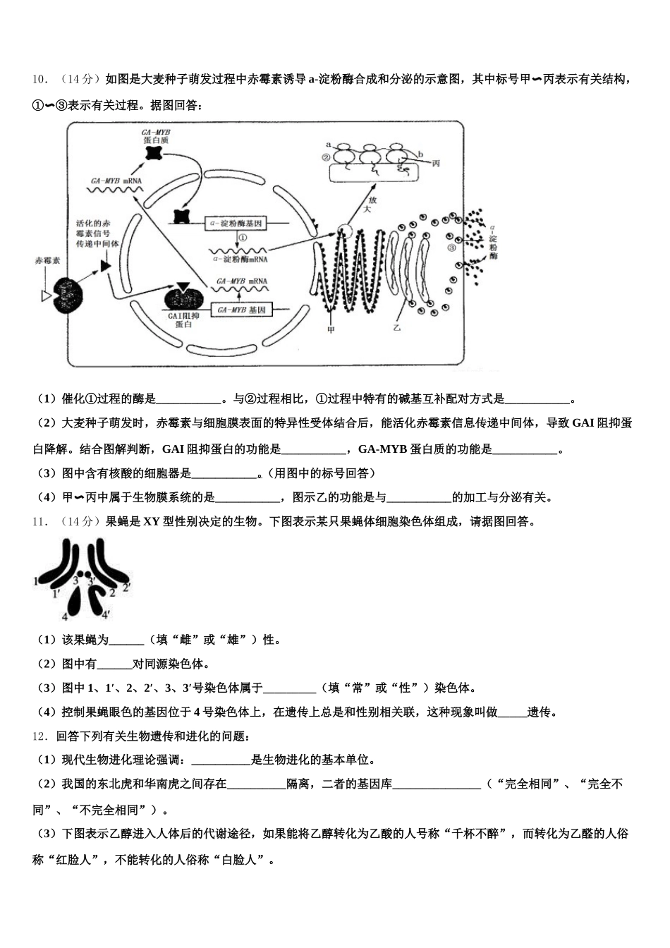 2025届山东省潍坊市临朐县高一生物第二学期期末复习检测试题含解析_第3页