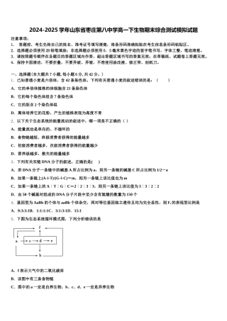 2024-2025学年山东省枣庄第八中学高一下生物期末综合测试模拟试题含解析
