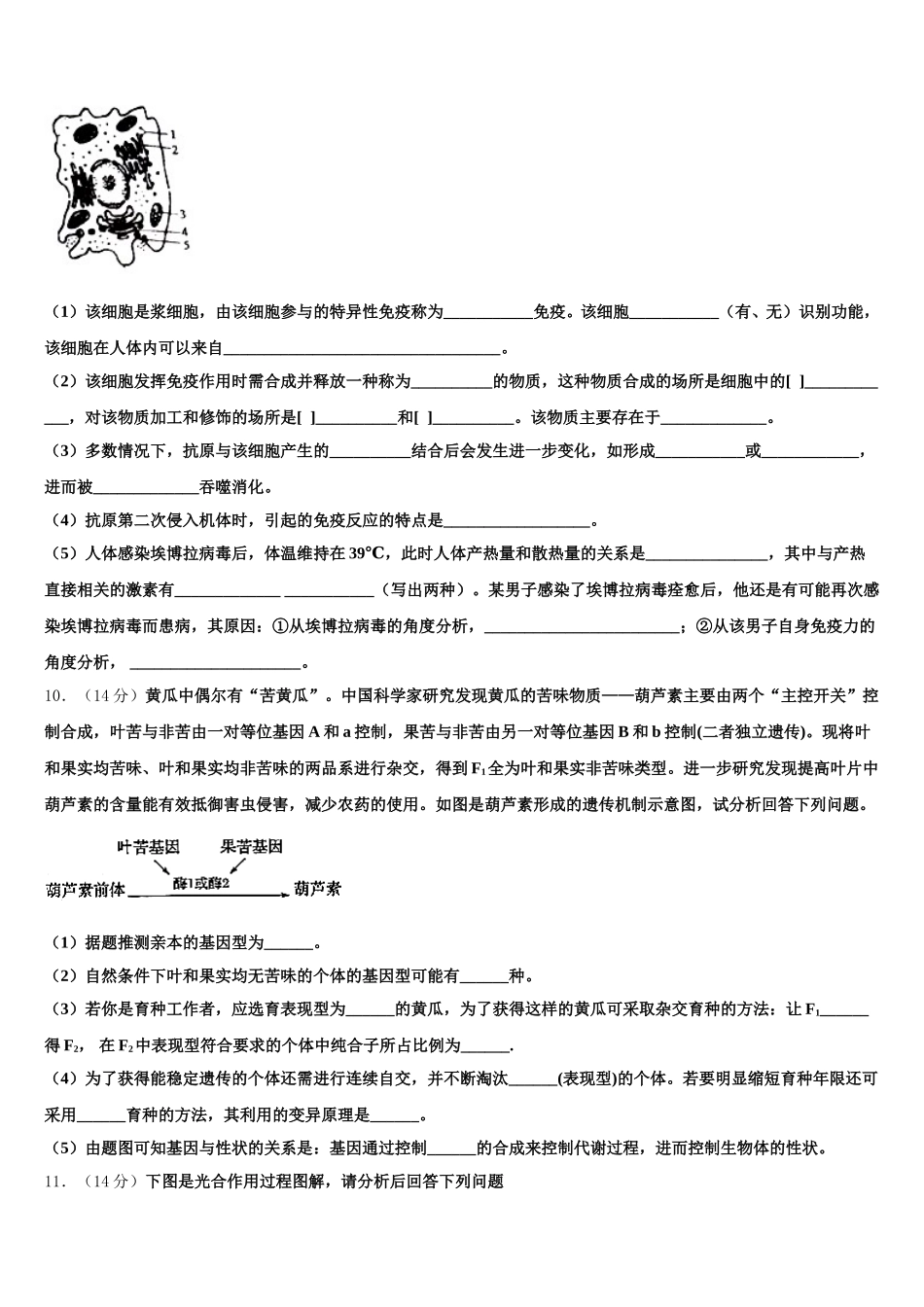 2025年山东省潍坊第一中学生物高一下期末预测试题含解析_第3页