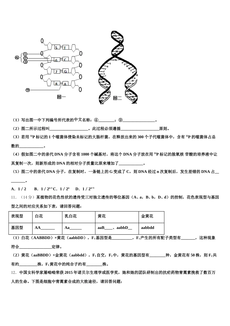 山东省东营市河口区一中2025届生物高一第二学期期末检测试题含解析_第3页