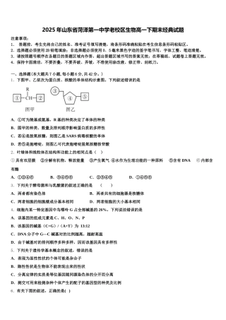 2025年山东省菏泽第一中学老校区生物高一下期末经典试题含解析