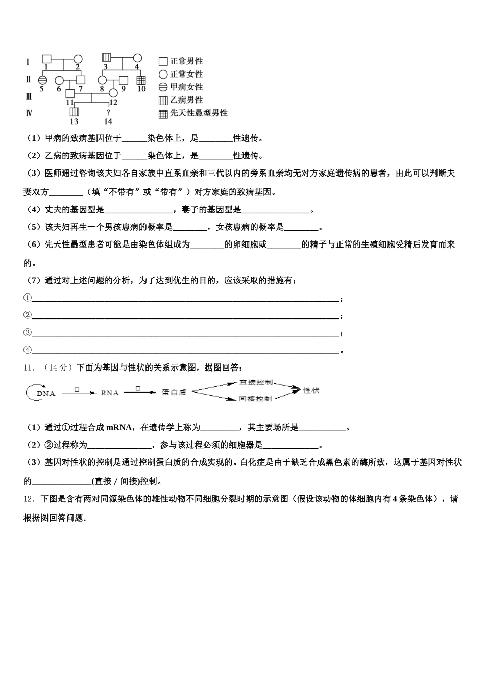 山东省新泰中学2025届生物高一第二学期期末学业质量监测模拟试题含解析_第3页