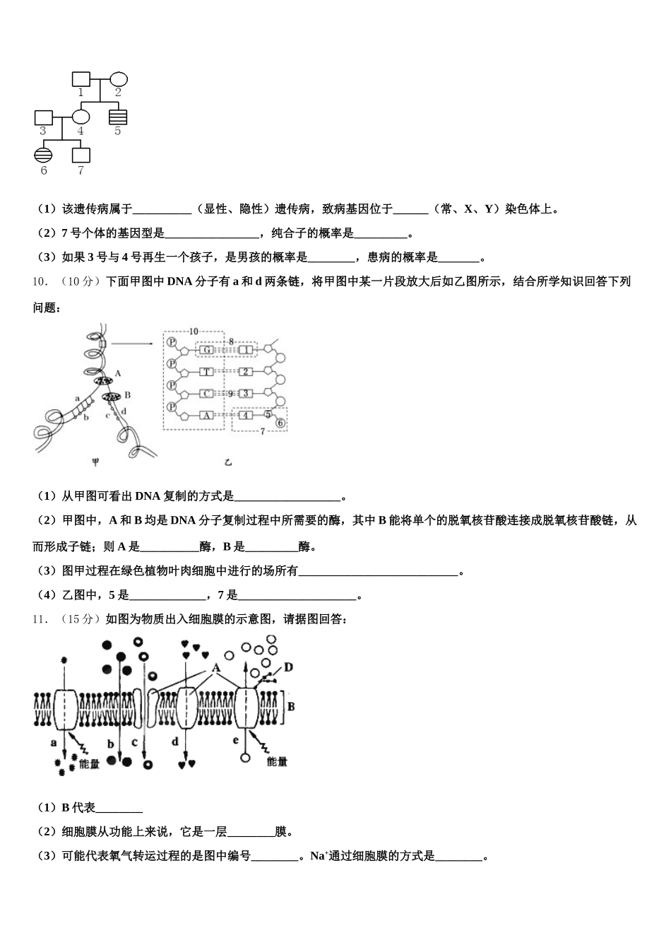 山东省菏泽第一中学2025届生物高一下期末质量跟踪监视试题含解析_第3页