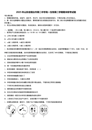 2025年山东省烟台市第二中学高一生物第二学期期末联考试题含解析