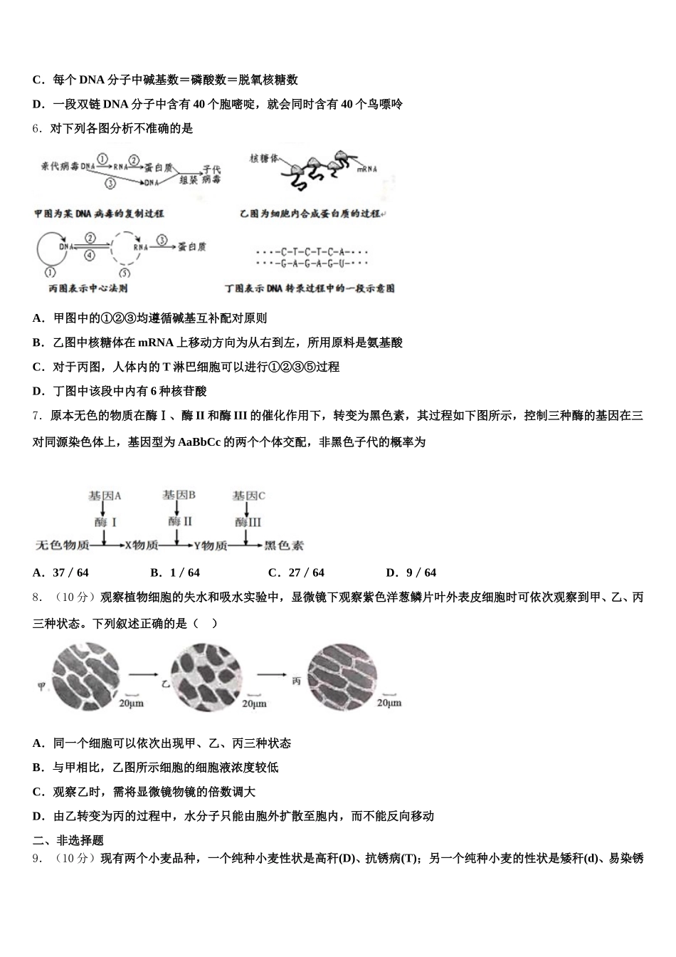 山东省临沂市临沭县第一中学2025年生物高一下期末检测模拟试题含解析_第2页