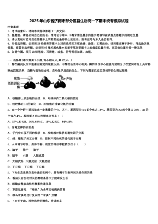 2025年山东省济南市部分区县生物高一下期末统考模拟试题含解析