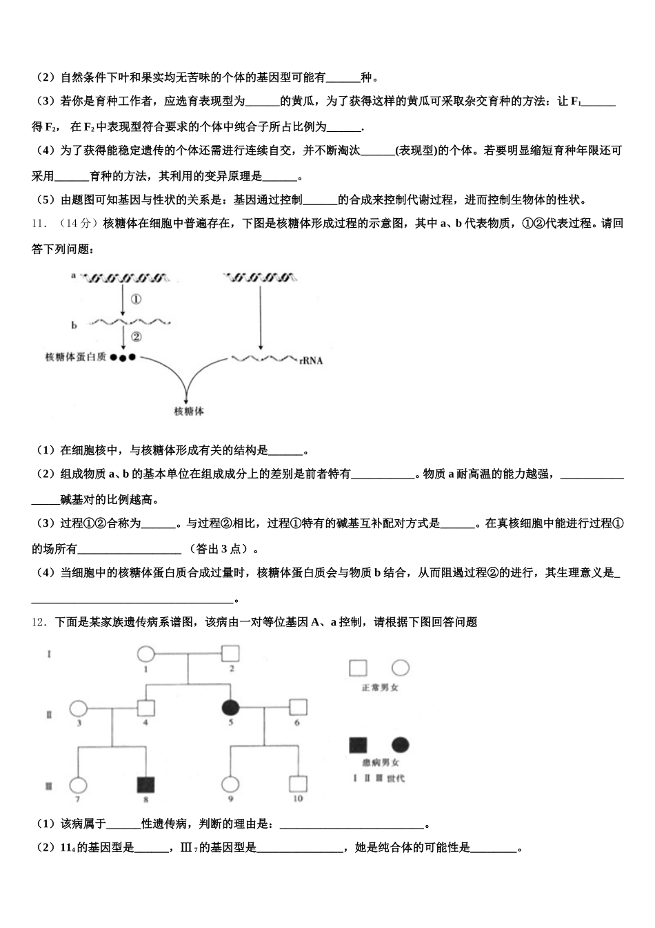 2024-2025学年山东省蒙阴一中高一生物第二学期期末达标检测模拟试题含解析_第3页