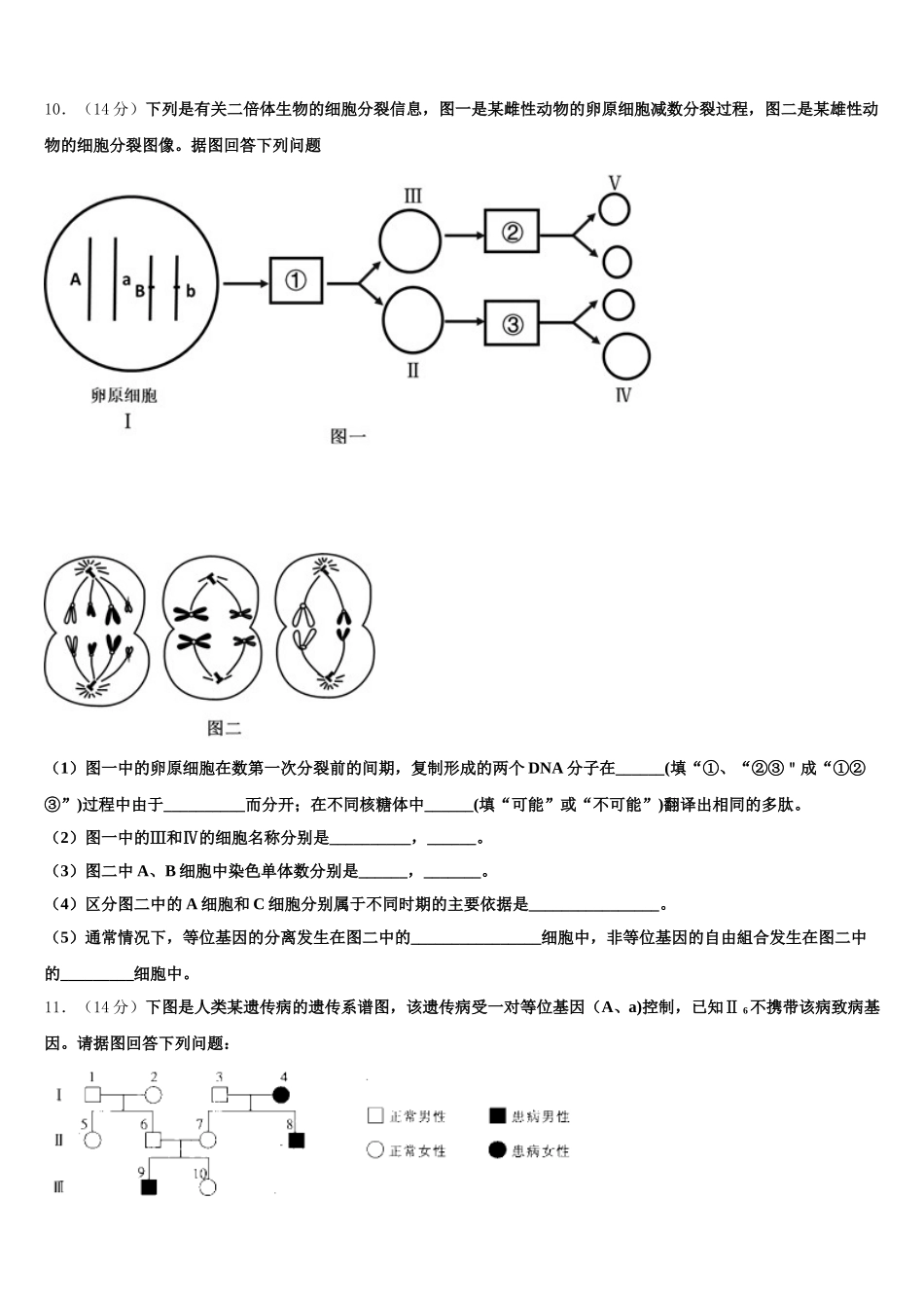 山东省枣庄市薛城舜耕中学2025年高一下生物期末经典试题含解析_第3页