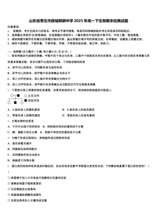 山东省枣庄市薛城舜耕中学2025年高一下生物期末经典试题含解析