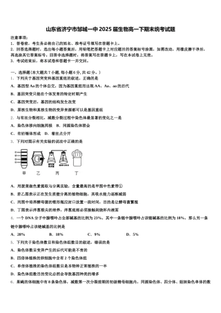 山东省济宁市邹城一中2025届生物高一下期末统考试题含解析