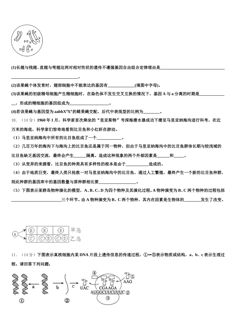 2025届山东省青岛实验高中生物高一下期末复习检测试题含解析_第3页
