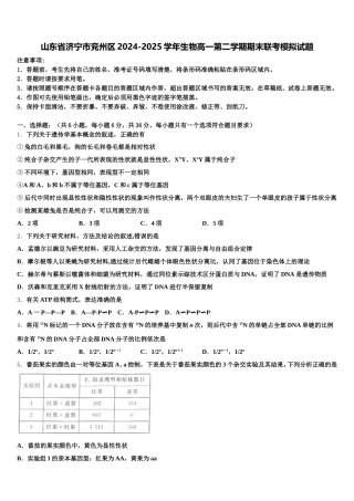 山东省济宁市兖州区2024-2025学年生物高一第二学期期末联考模拟试题含解析