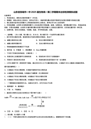 山东省邹城市一中2025届生物高一第二学期期末达标检测模拟试题含解析