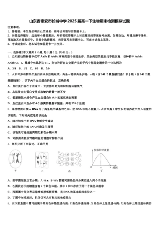 山东省泰安市长城中学2025届高一下生物期末检测模拟试题含解析