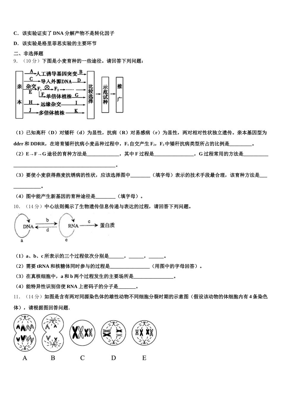 2025年山东省青岛市黄岛区开发区致远中学高一生物第二学期期末质量跟踪监视模拟试题含解析_第3页