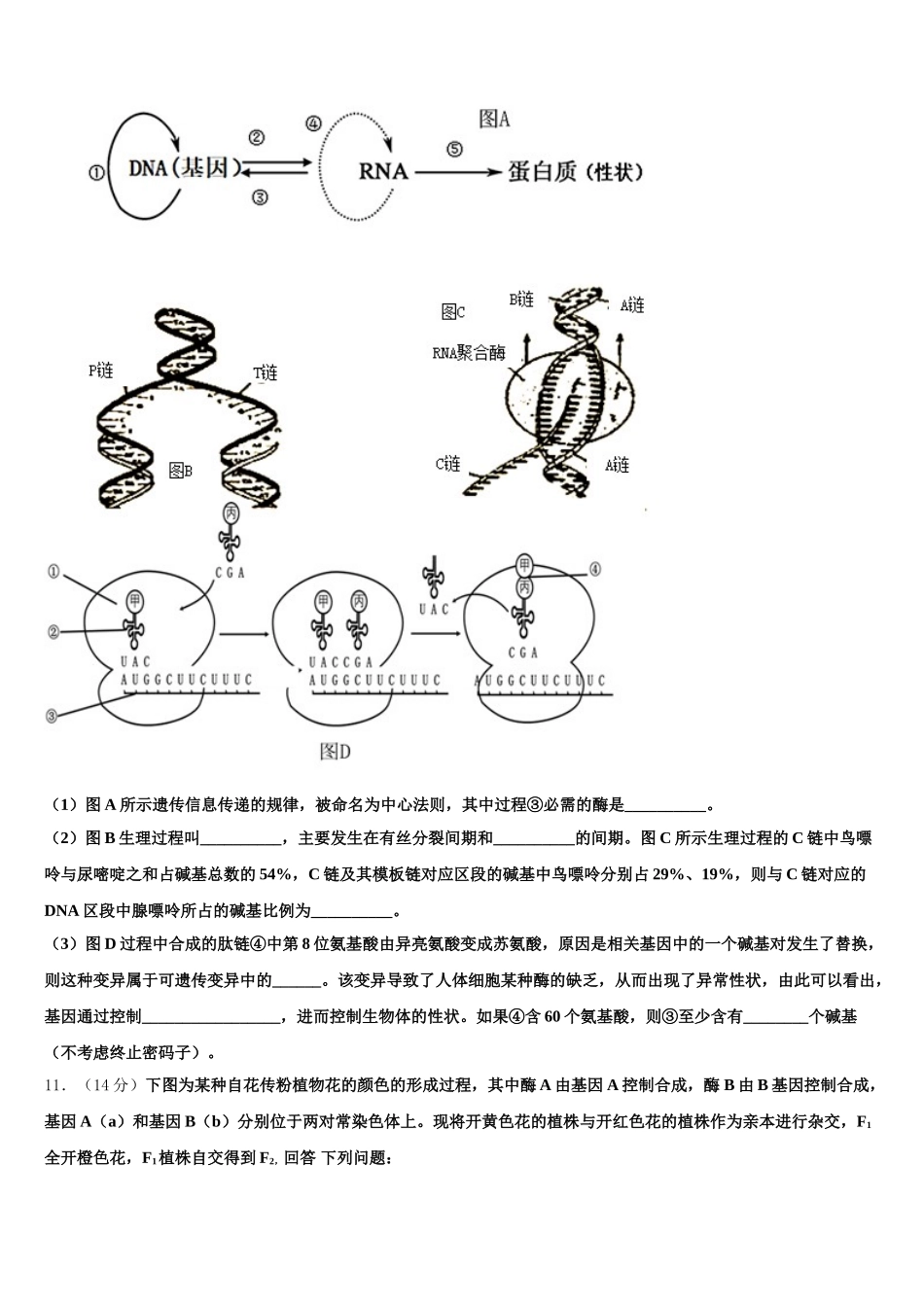 山东省枣庄市2025届生物高一下期末质量跟踪监视模拟试题含解析_第3页