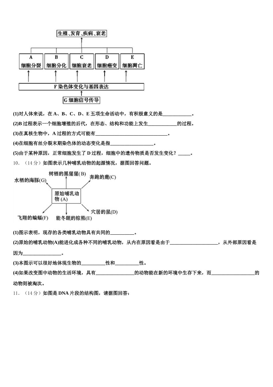2024-2025学年山东省 高一生物第二学期期末达标检测试题含解析_第3页