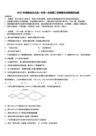 2025年湖南省古丈县一中高一生物第二学期期末经典模拟试题含解析