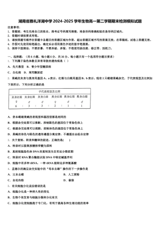 湖南省雅礼洋湖中学2024-2025学年生物高一第二学期期末检测模拟试题含解析