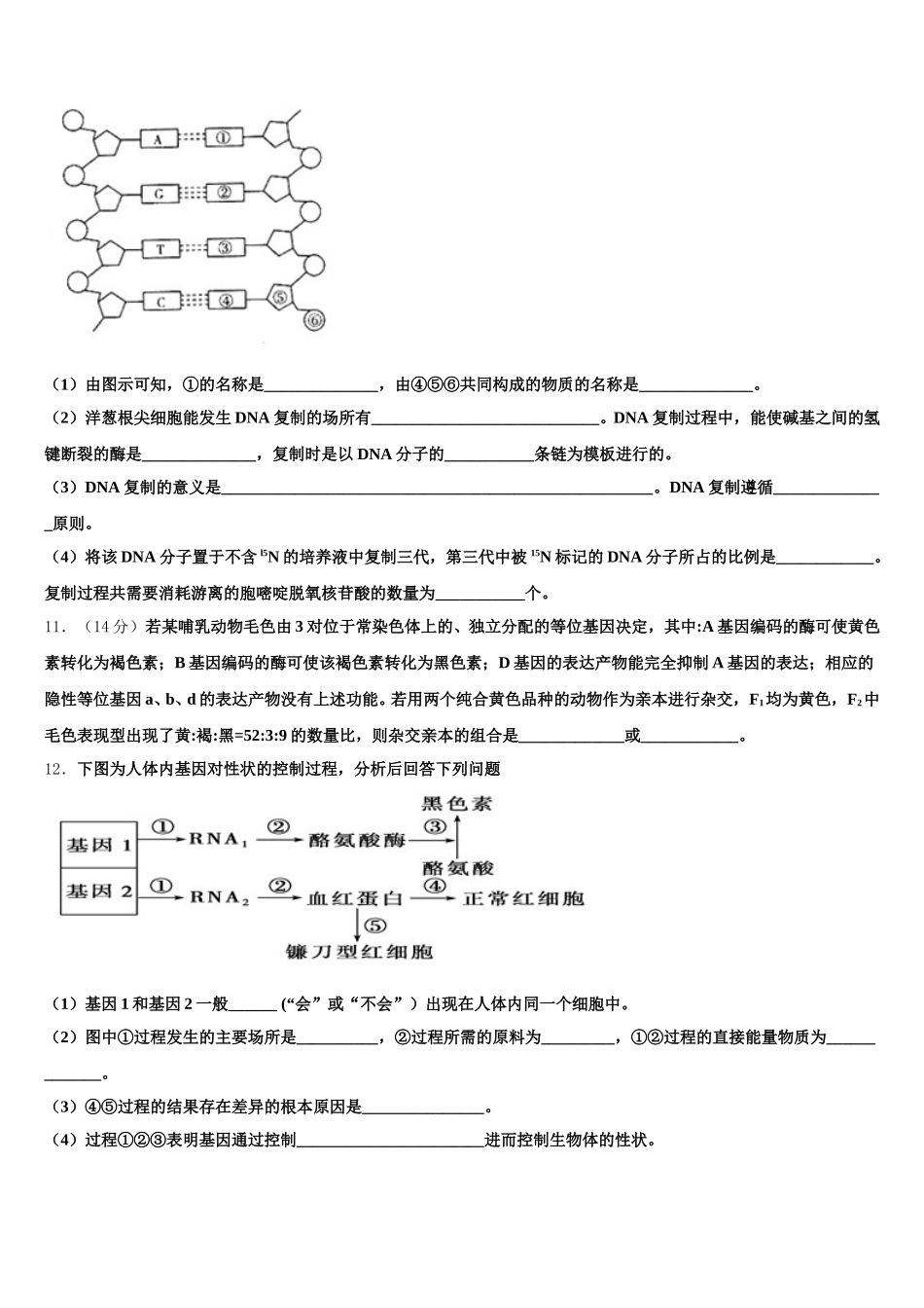 湖南省常德市桃源一中2024-2025学年生物高一第二学期期末教学质量检测试题含解析_第3页