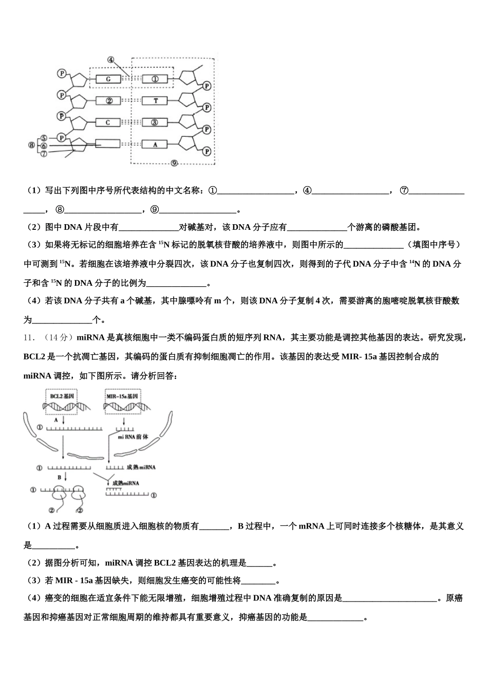 2025届湖南邵阳县德望中学生物高一下期末教学质量检测模拟试题含解析_第3页