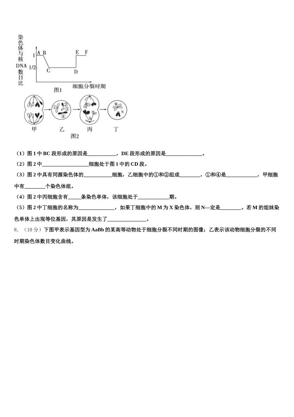湖南省邵阳市双清区第十一中学2025届高一生物第二学期期末学业质量监测试题含解析_第3页