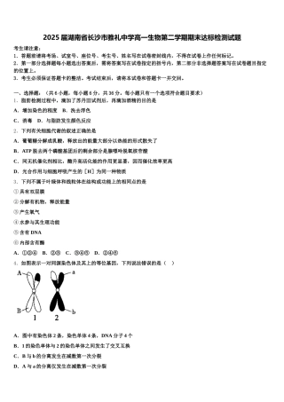 2025届湖南省长沙市雅礼中学高一生物第二学期期末达标检测试题含解析