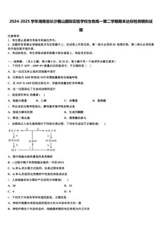 2024-2025学年湖南省长沙麓山国际实验学校生物高一第二学期期末达标检测模拟试题含解析