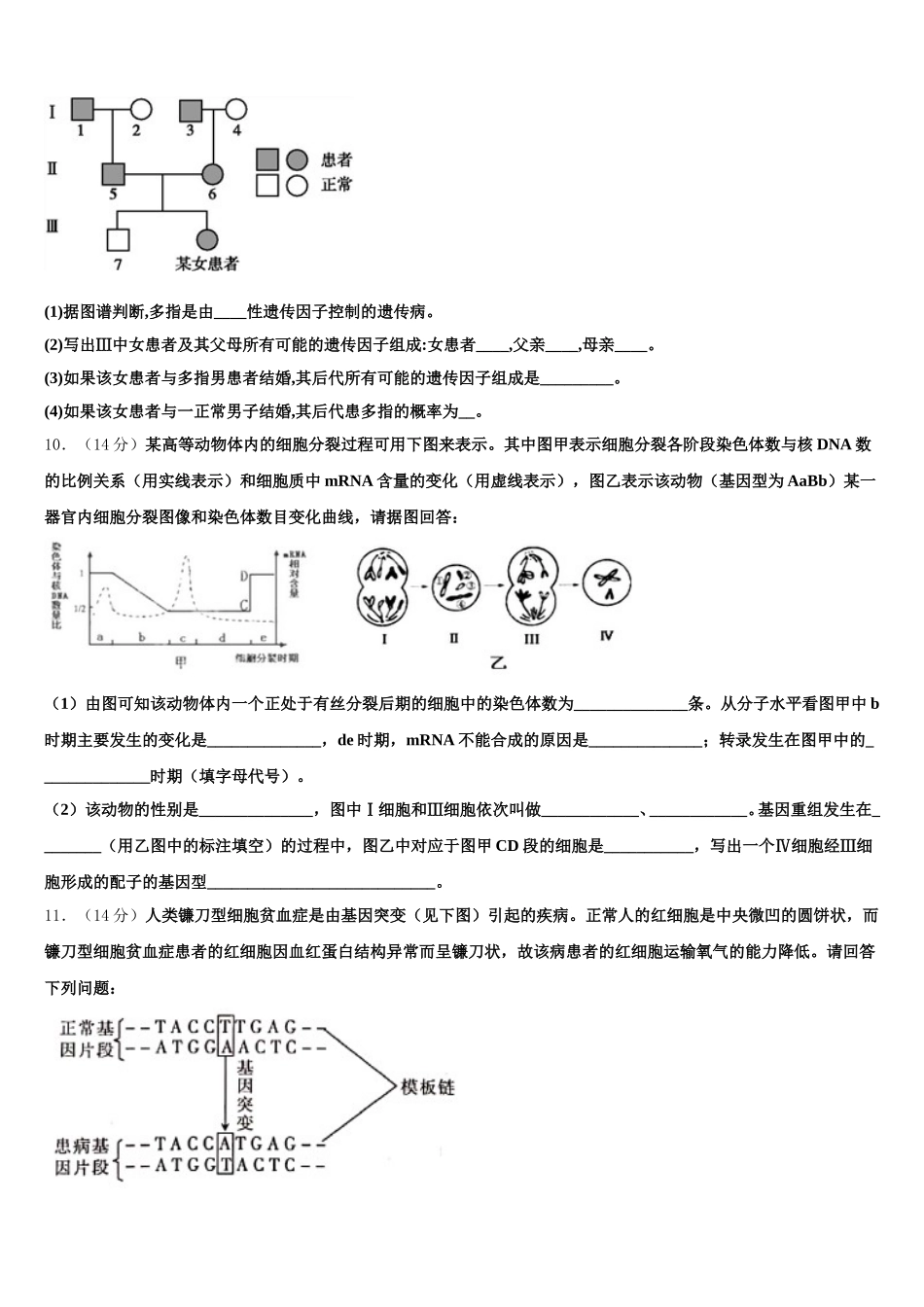 2025届湖南省隆回县第一中学高一生物第二学期期末综合测试模拟试题含解析_第3页