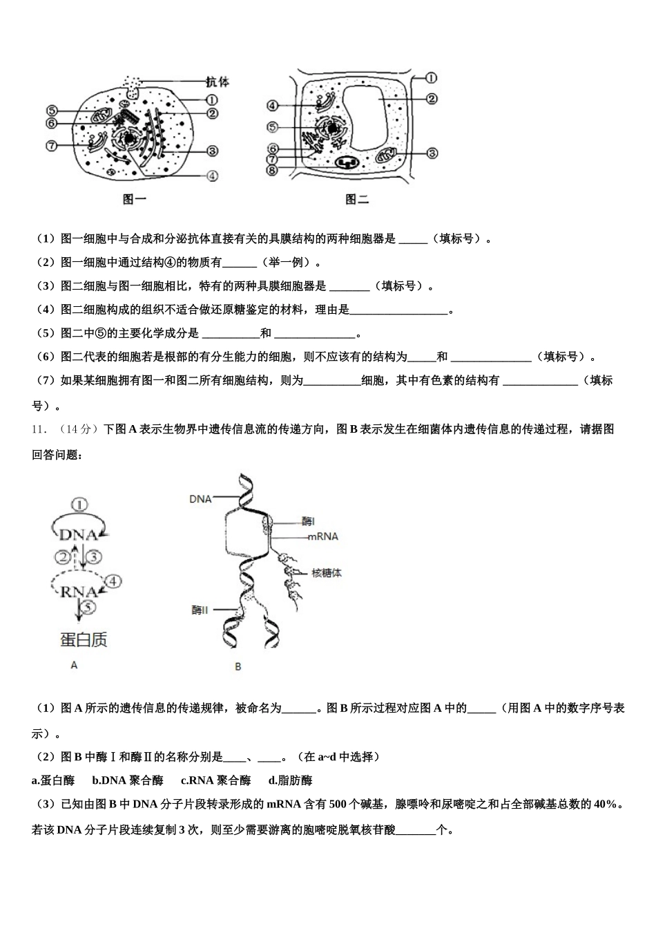 2025届湖南省隆回县高一下生物期末综合测试模拟试题含解析_第3页