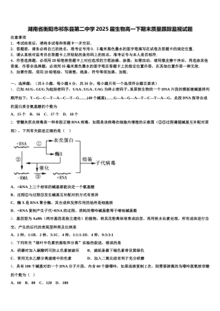 湖南省衡阳市祁东县第二中学2025届生物高一下期末质量跟踪监视试题含解析