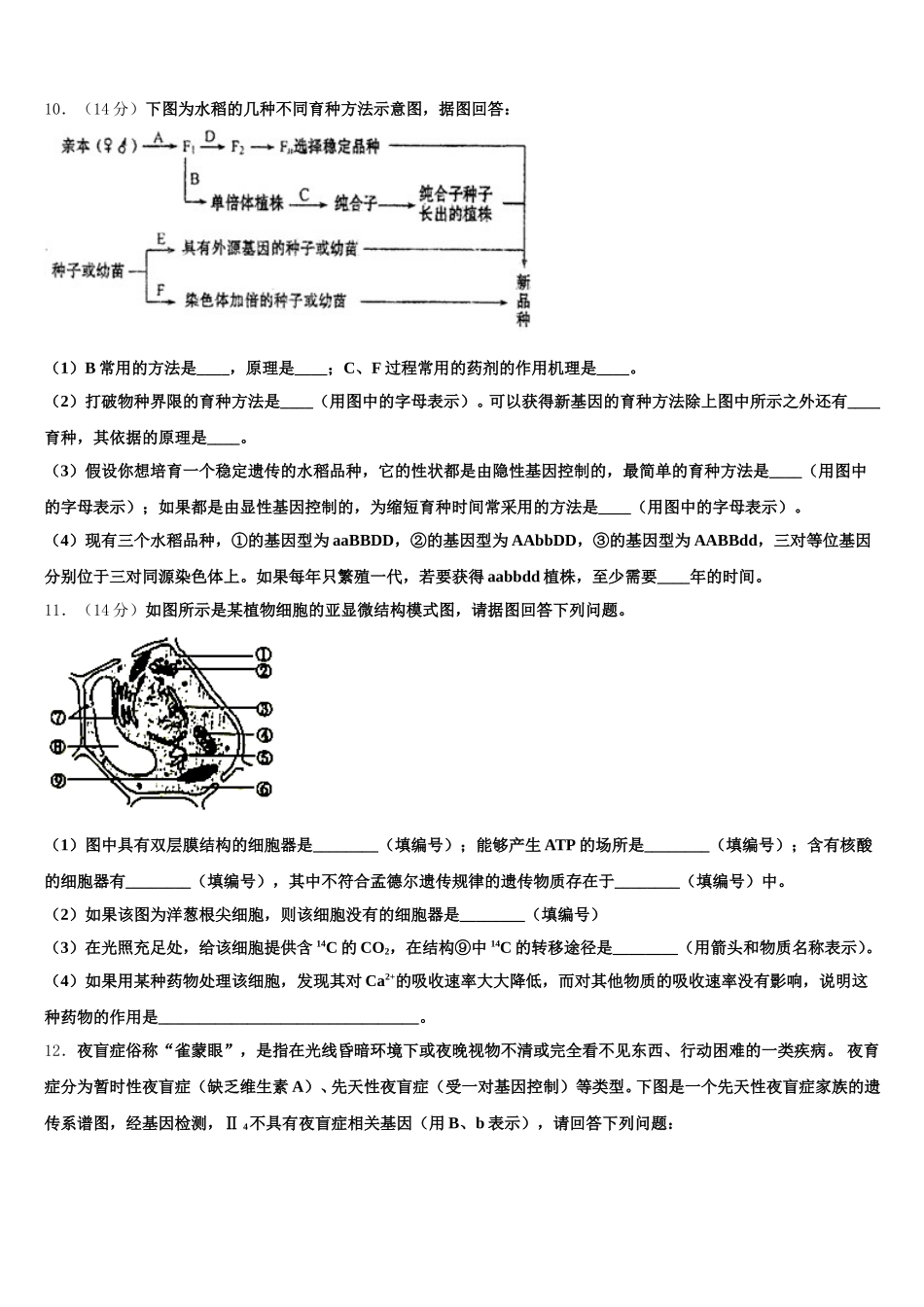 2024-2025学年湖南省浏阳市第一中学高一生物第二学期期末检测试题含解析_第3页