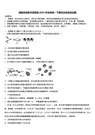 湖南省岳阳市岳阳县2025年生物高一下期末达标测试试题含解析