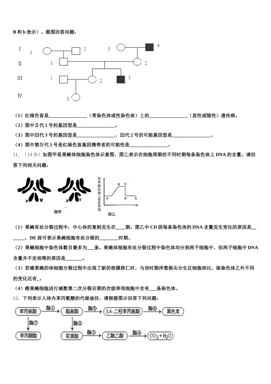 湖南省长沙市岳麓区湖南师范大学附属中学2024-2025学年高一生物第二学期期末质量跟踪监视试题含解析_第3页