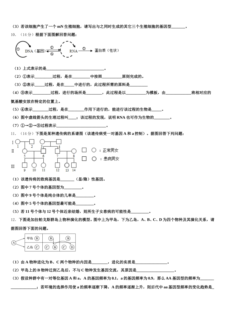 2025届湖南省邵阳市双清区十一中生物高一下期末教学质量检测模拟试题含解析_第3页