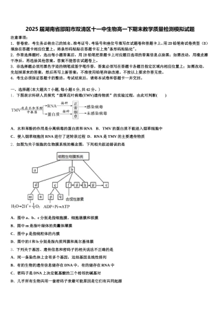 2025届湖南省邵阳市双清区十一中生物高一下期末教学质量检测模拟试题含解析