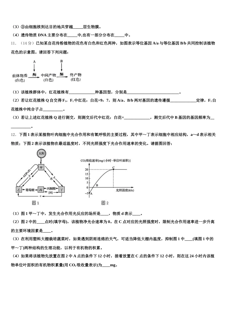 2025年湖南省宁乡县第一高级中学生物高一下期末联考模拟试题含解析_第3页