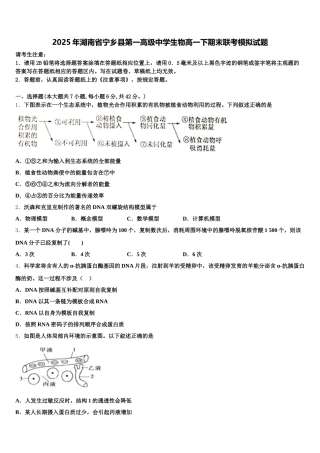 2025年湖南省宁乡县第一高级中学生物高一下期末联考模拟试题含解析