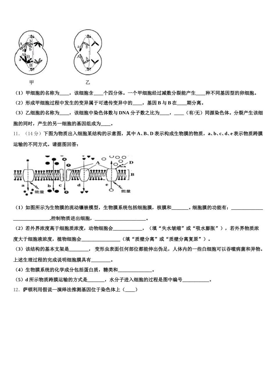 湖南省长沙市广益实验中学2025届高一生物第二学期期末复习检测试题含解析_第3页