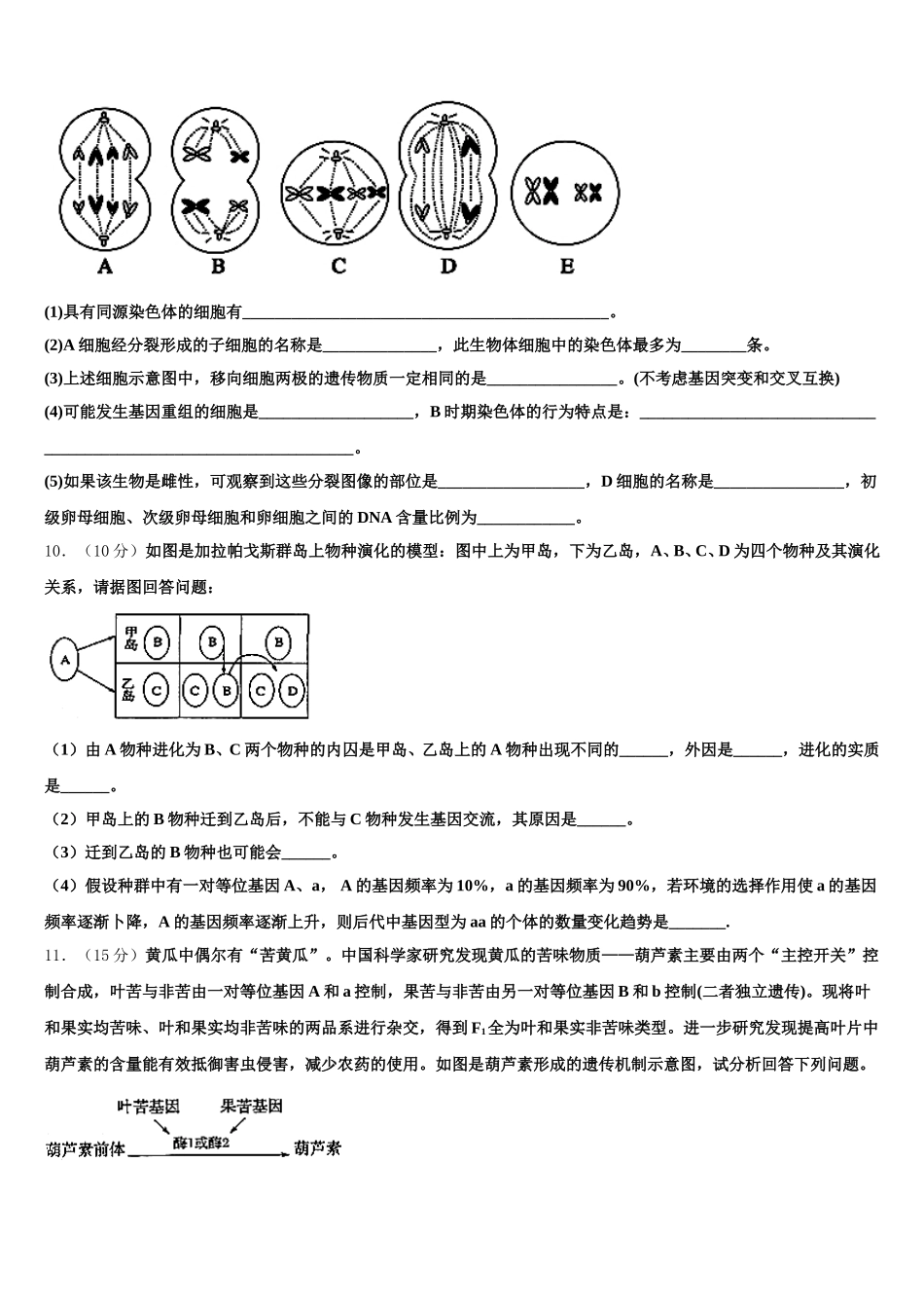 2025届湖南省湘钢一中高一生物第二学期期末经典试题含解析_第3页