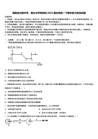 湖南省长郡中学、雅礼中学等四校2025届生物高一下期末复习检测试题含解析