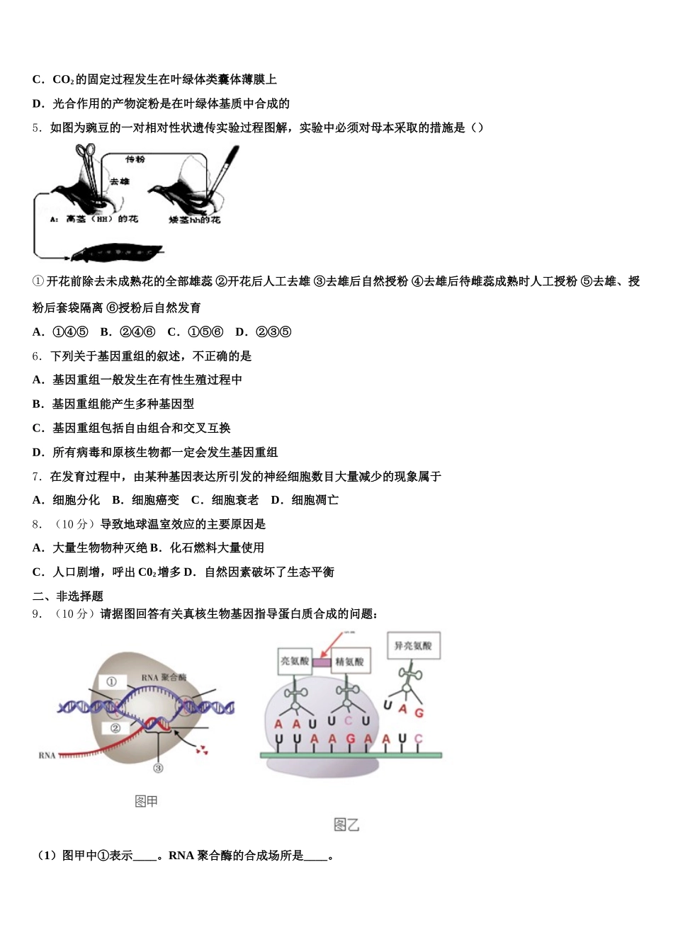 湖南省邵东县创新实验学校2025届生物高一下期末教学质量检测模拟试题含解析_第2页