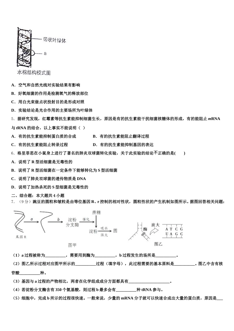 2025年湖南省邵东县三中生物高一下期末经典试题含解析_第2页