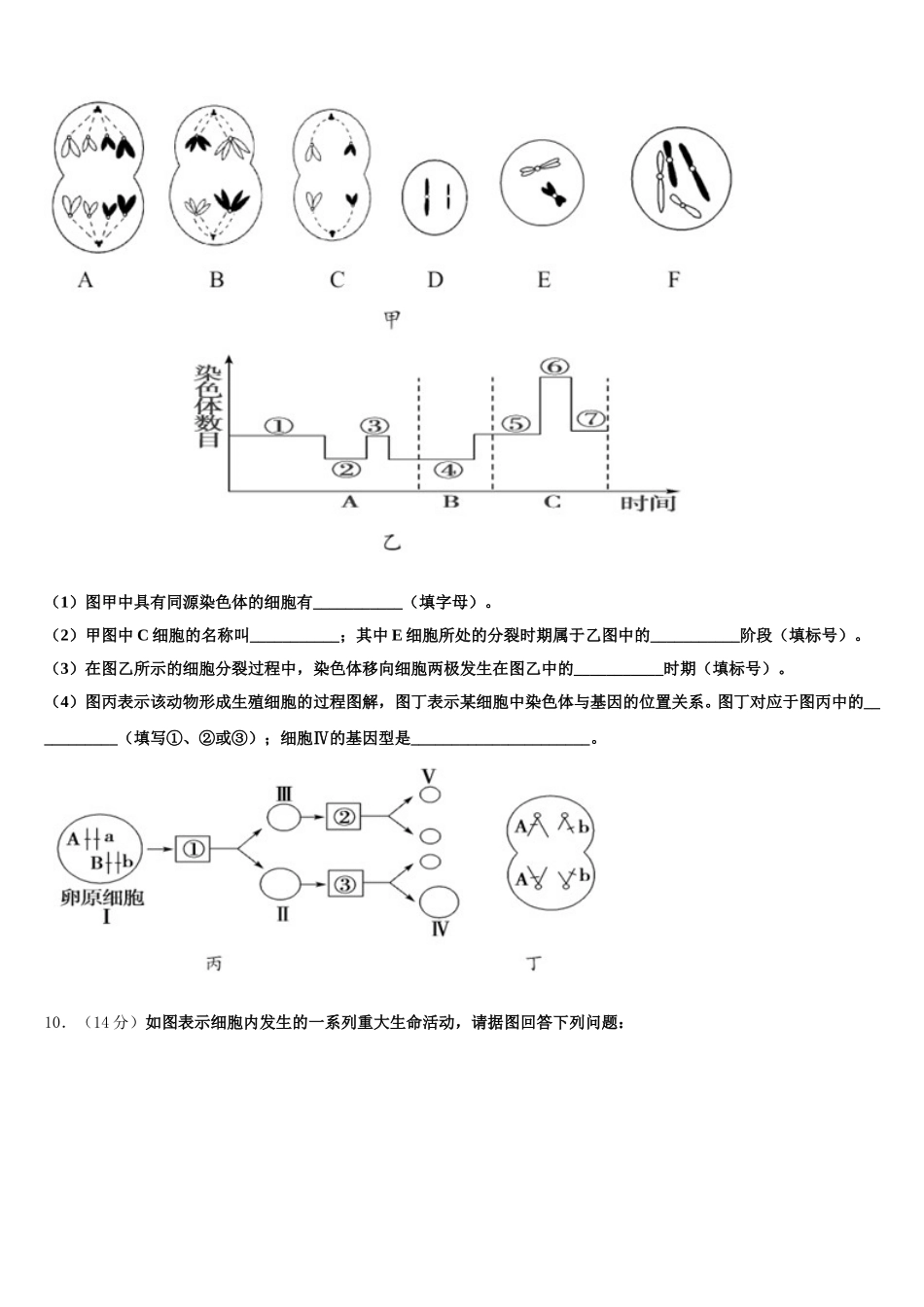 2025年湖南省长郡中学高一下生物期末综合测试模拟试题含解析_第3页