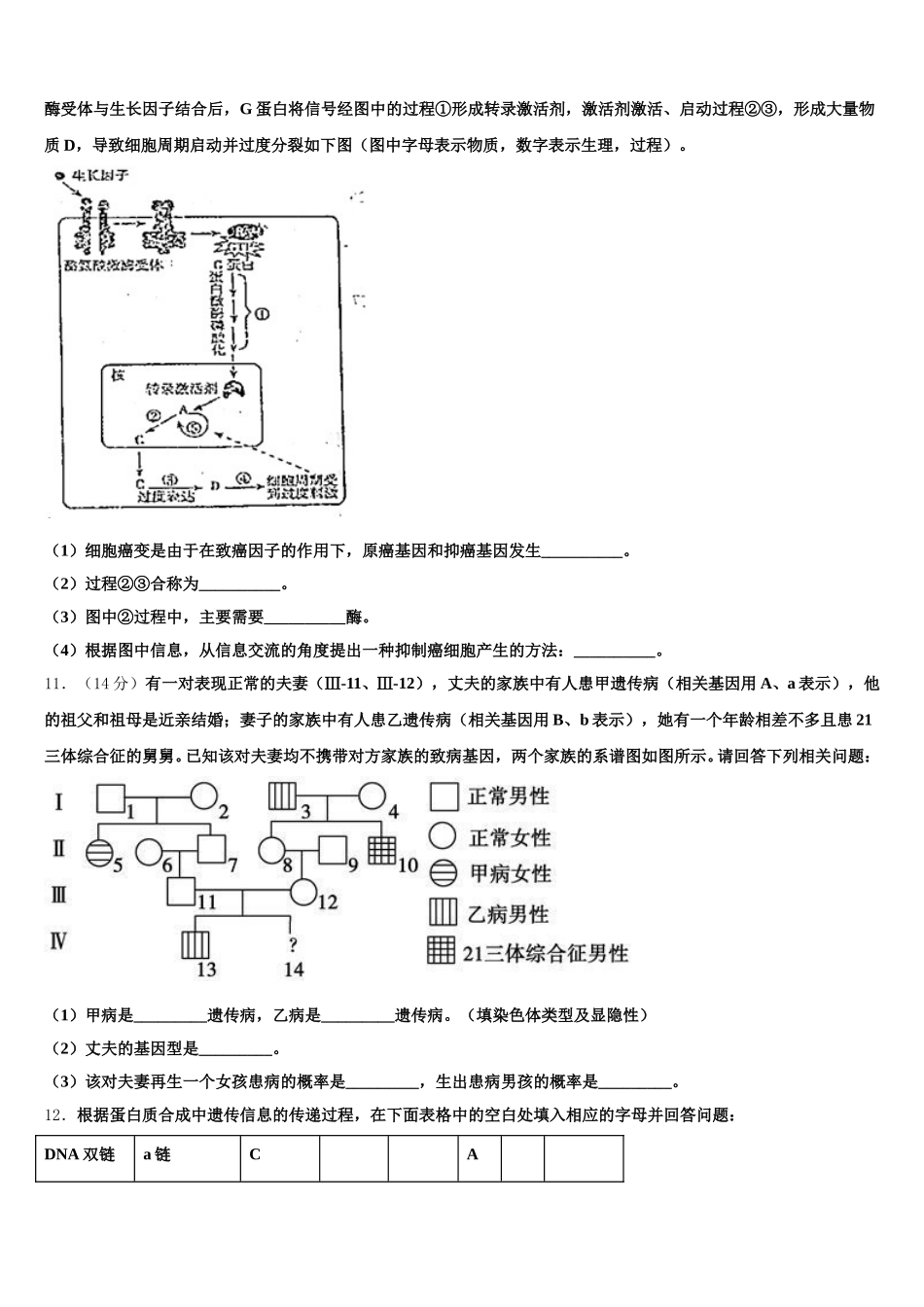 2025届湖南省洞口县第四中学高一下生物期末考试试题含解析_第3页
