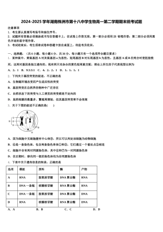 2024-2025学年湖南株洲市第十八中学生物高一第二学期期末统考试题含解析