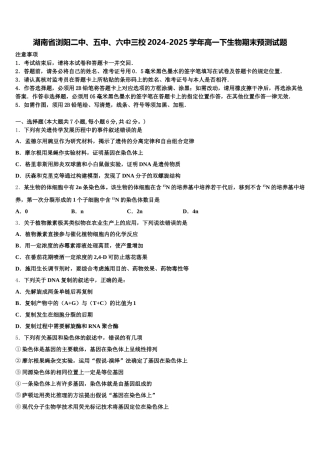 湖南省浏阳二中、五中、六中三校2024-2025学年高一下生物期末预测试题含解析