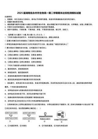 2025届湖南省永州市生物高一第二学期期末达标检测模拟试题含解析